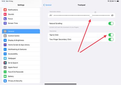 Trackpad speed and click options in iPadOS Settings